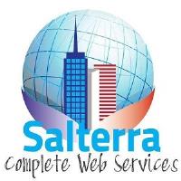 Salterra Web Design of New Boston image 1